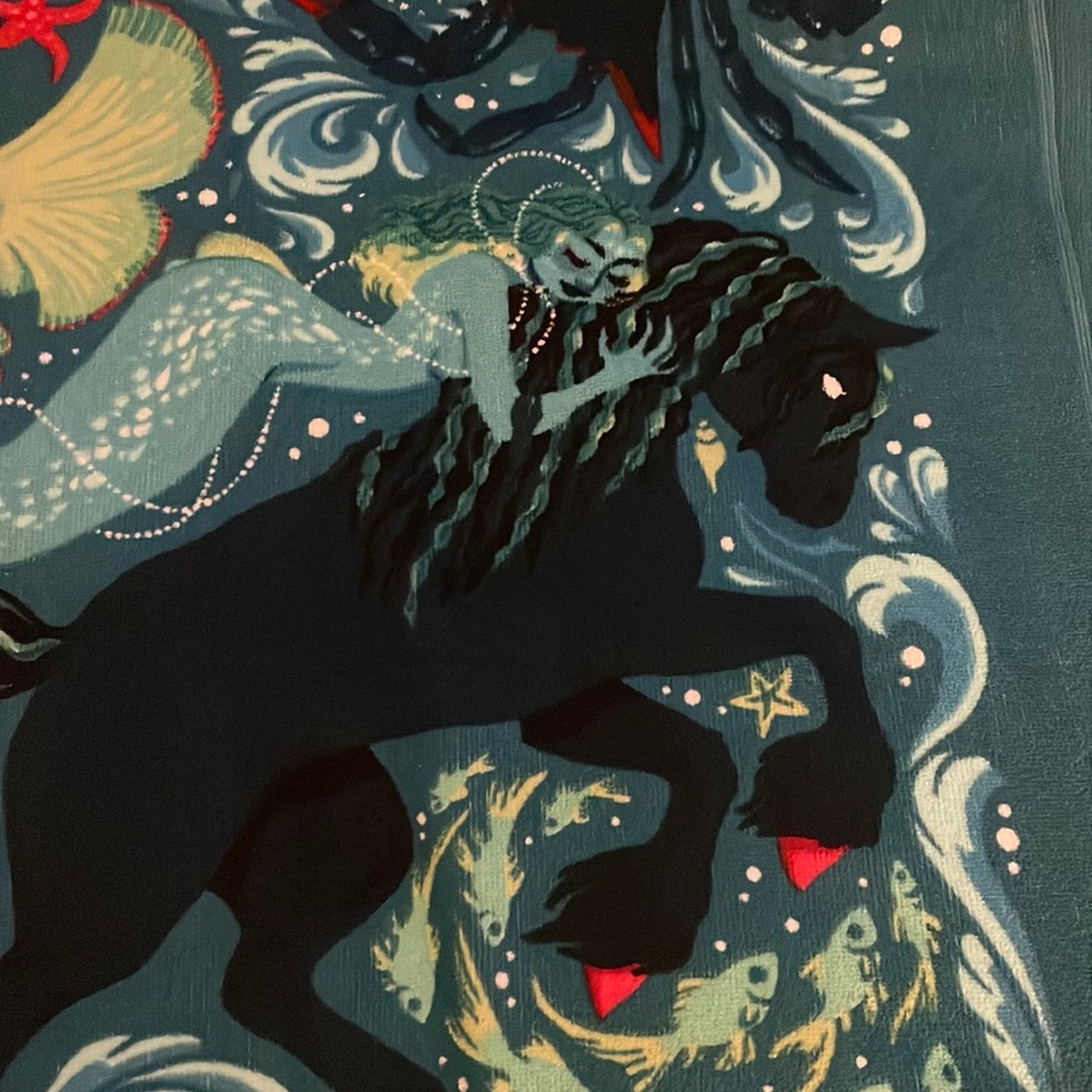 ✨Illumicrate✨ Folk of the Air towel